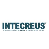 Intecreus Consulting Services logo