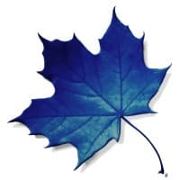 SAGA International Owners Association Management Services logo