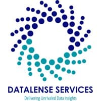Datalense Services logo