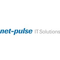 net-pulse IT Solutions logo
