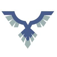 Vanguard Cyber logo