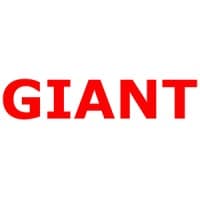 GIANT I.T logo