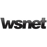 WSNET SoluÃ§Ãµes em InformÃ¡tica logo