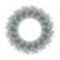 International Market Management logo