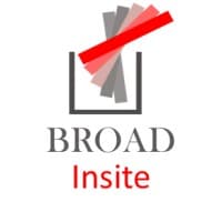 Broad Insite logo