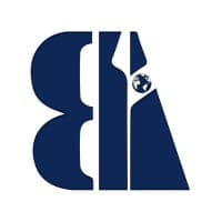 BIG IT logo