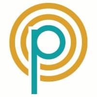 Precision Payment logo