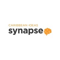 Caribbean Ideas Synapse logo