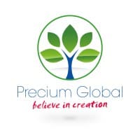 Precium Global logo