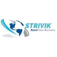STRIVIK BUSINESS SOLUTIONS PVT logo