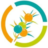 Junius Solutions logo