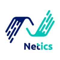 Netics logo