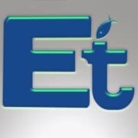 Everything IT logo