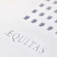 Aequitas Expert Witness Service logo