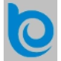Brinestone logo