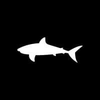Bullshark logo