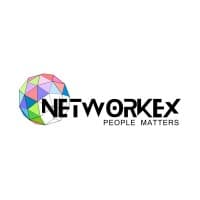 Networkex logo
