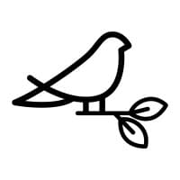 bloombird digital logo