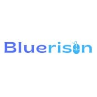 Bluerison logo