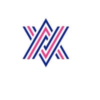 Value Ace logo