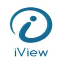 iView Consulting logo