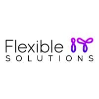 Flexible IT Solutions logo