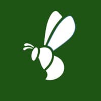Lively Bee Studio logo