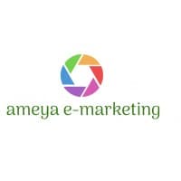 Ameya eMarketing Pvt logo