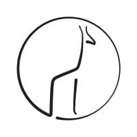 Giraff Media AS logo