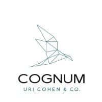 COGNUM Financial Consulting logo