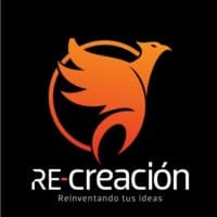 RE CREACION CONSULTORES E INFORMATICA S. DE R.L logo