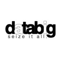 databig.ai logo