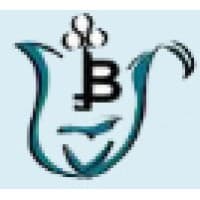 B. Business Solutions logo