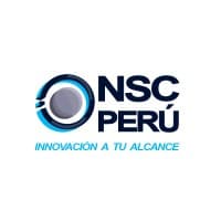 NS CONSULTING PERU logo