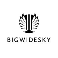 Bigwidesky logo