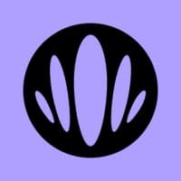 Kingfluencers logo