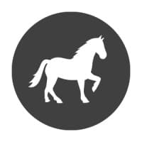 Steed Interactive logo