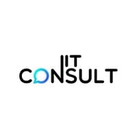 NIT Consult logo