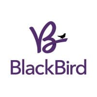 BlackBird Consulting logo