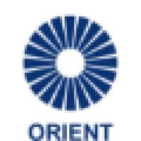 Orient ES Capital Group logo