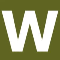 WISE IT logo