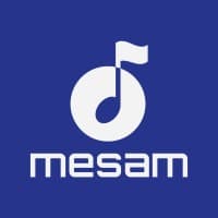 MESAM logo