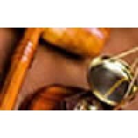 Physician Assistant Expert Witness Services logo