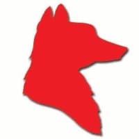 Red Fox Social Media Marketing Agency logo