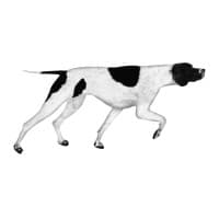 Directions research & marketing logo