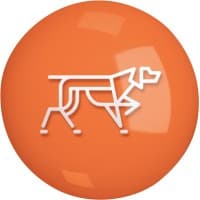 MERCADIEZ logo