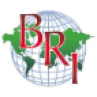 Bilingual Recruiters logo