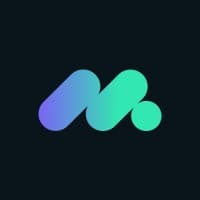 Metasecurity Solutions logo