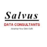 Salvus Data Consultants L.L.C logo