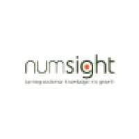 Numsight Data Marketing Consulting logo